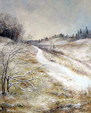 Zimn prochzka